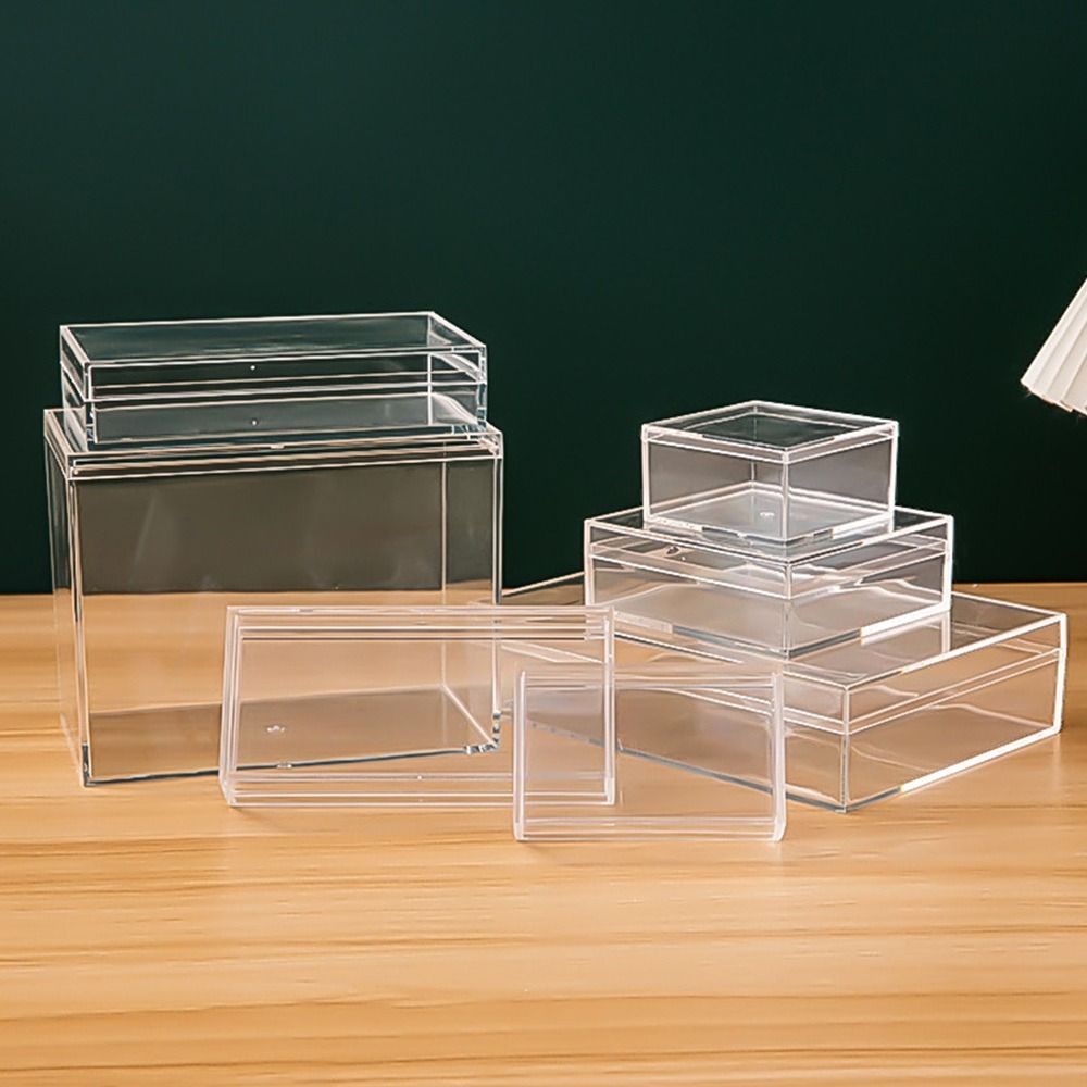 Caja de almacenamiento de plás - Food Storage Plant reseña y precio