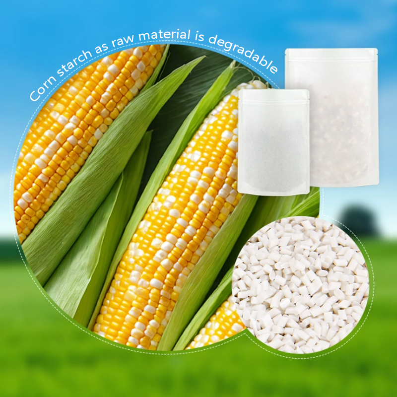 Bolsas de papel Kraft degradab - Food Storage Plant reseña y precio